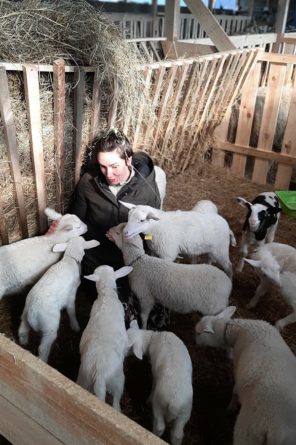 Ферма «Kuzko»